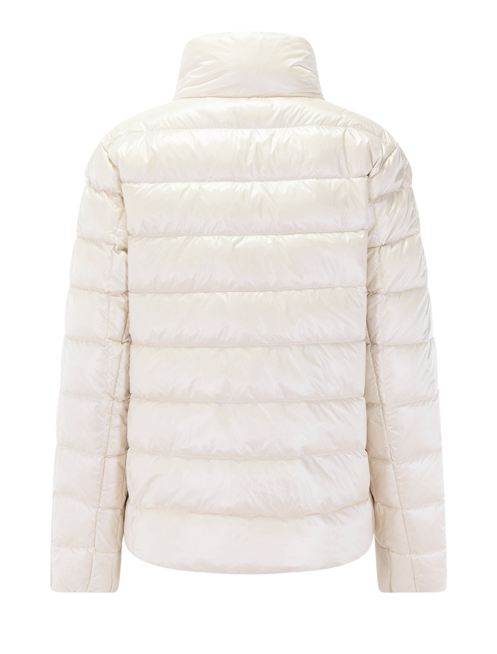 marcy in arctic wolf