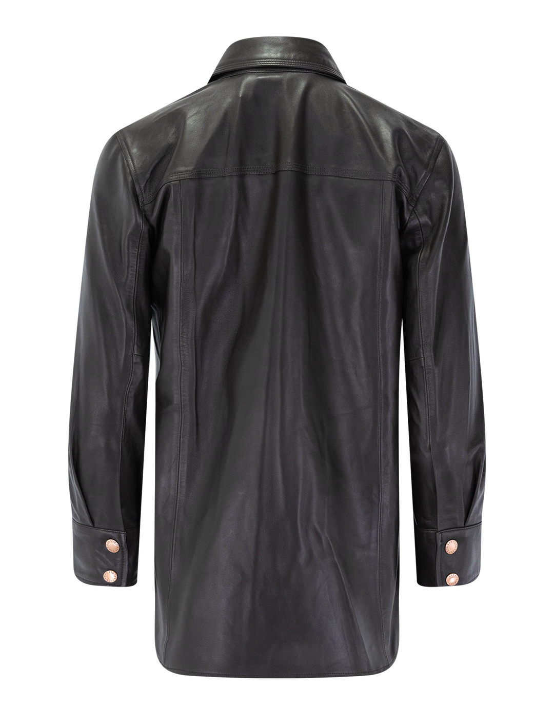 avina leather blouse in coffee bean