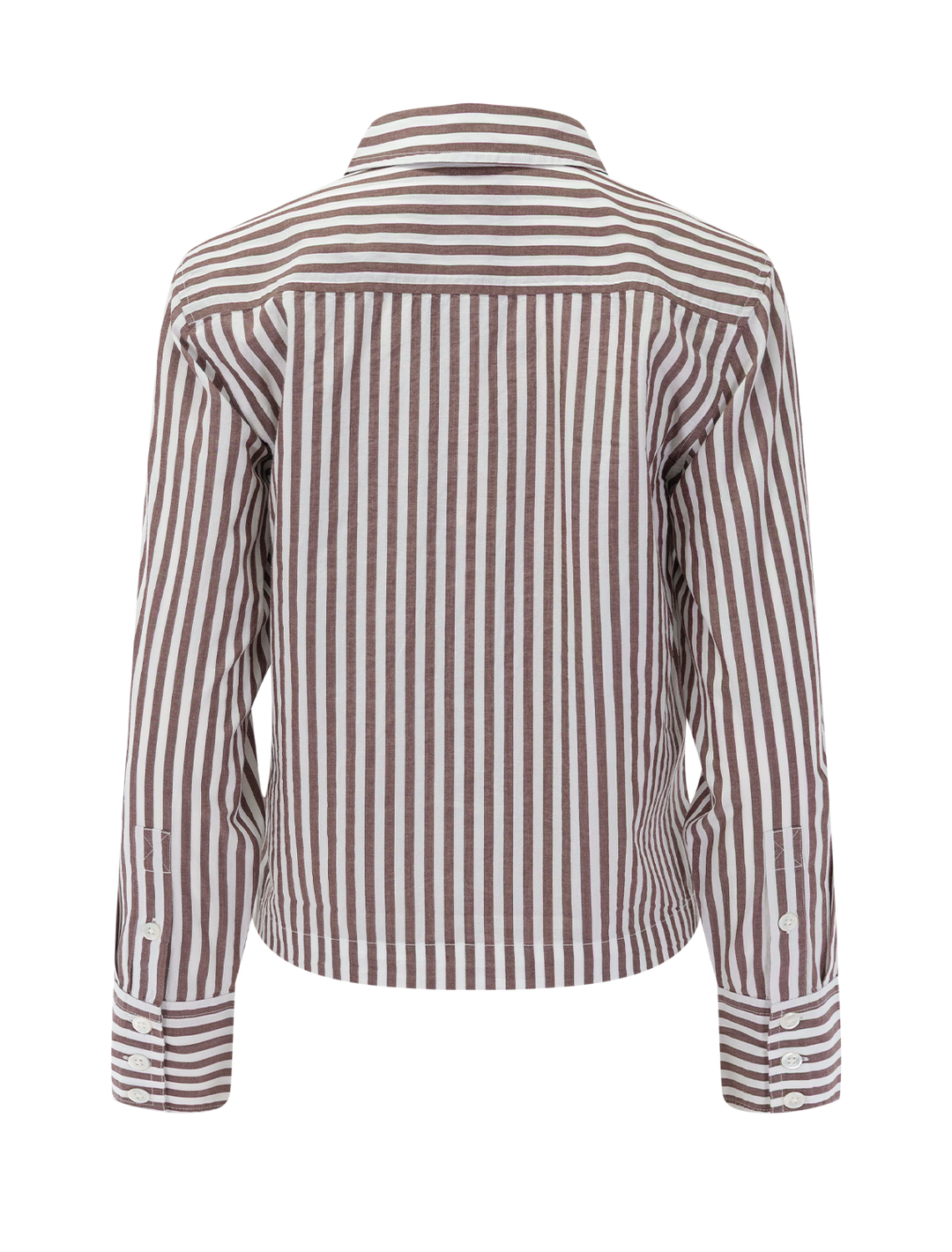 straight fit short button down in chestnut stripe