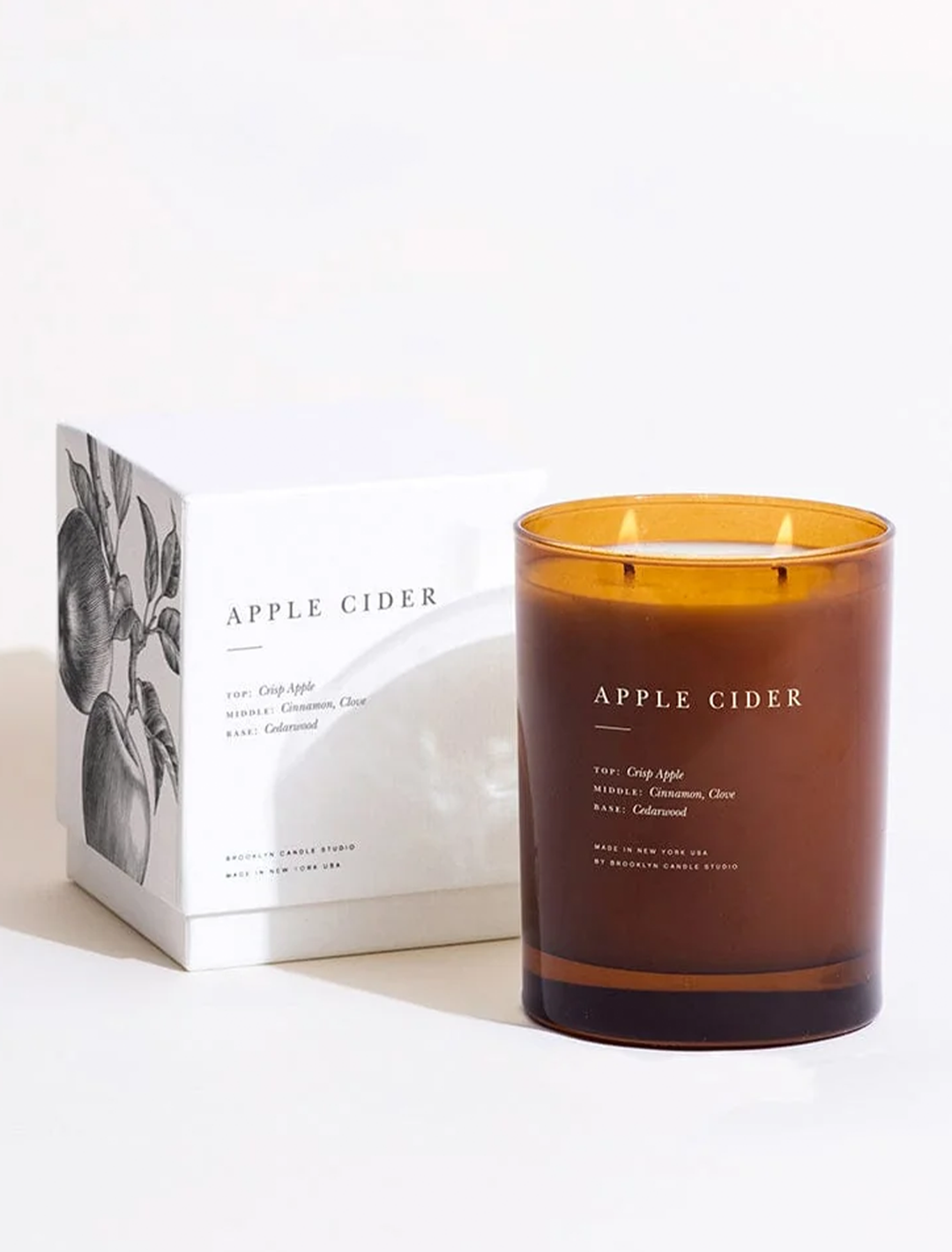 apple cider 2 wick candle