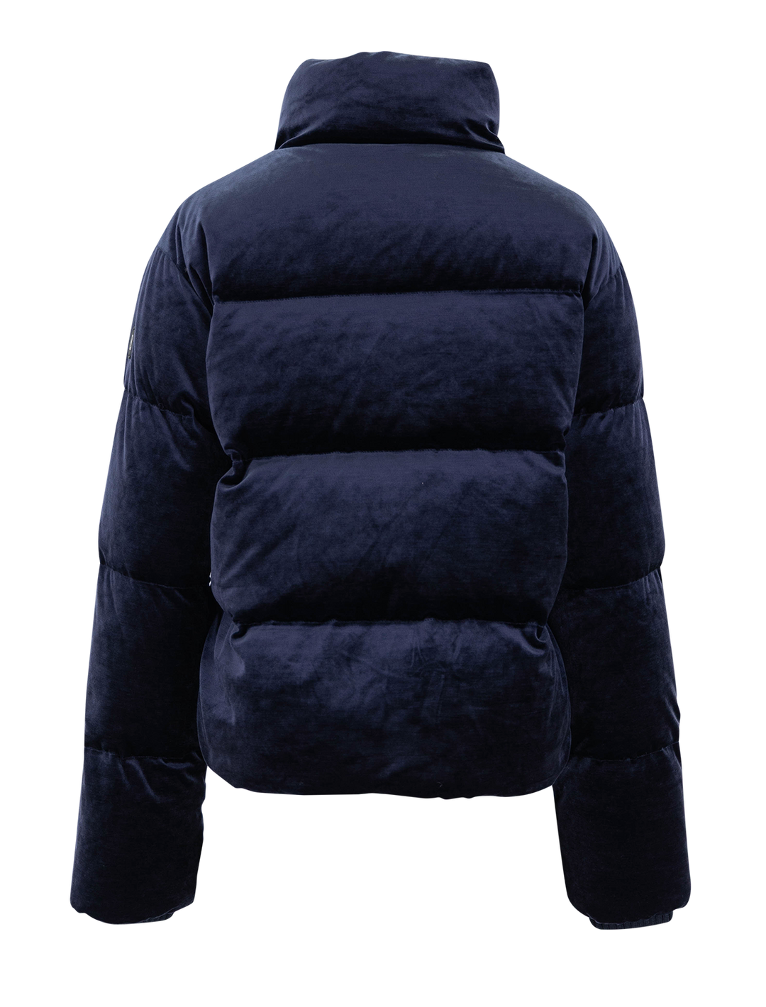 oliva in navy