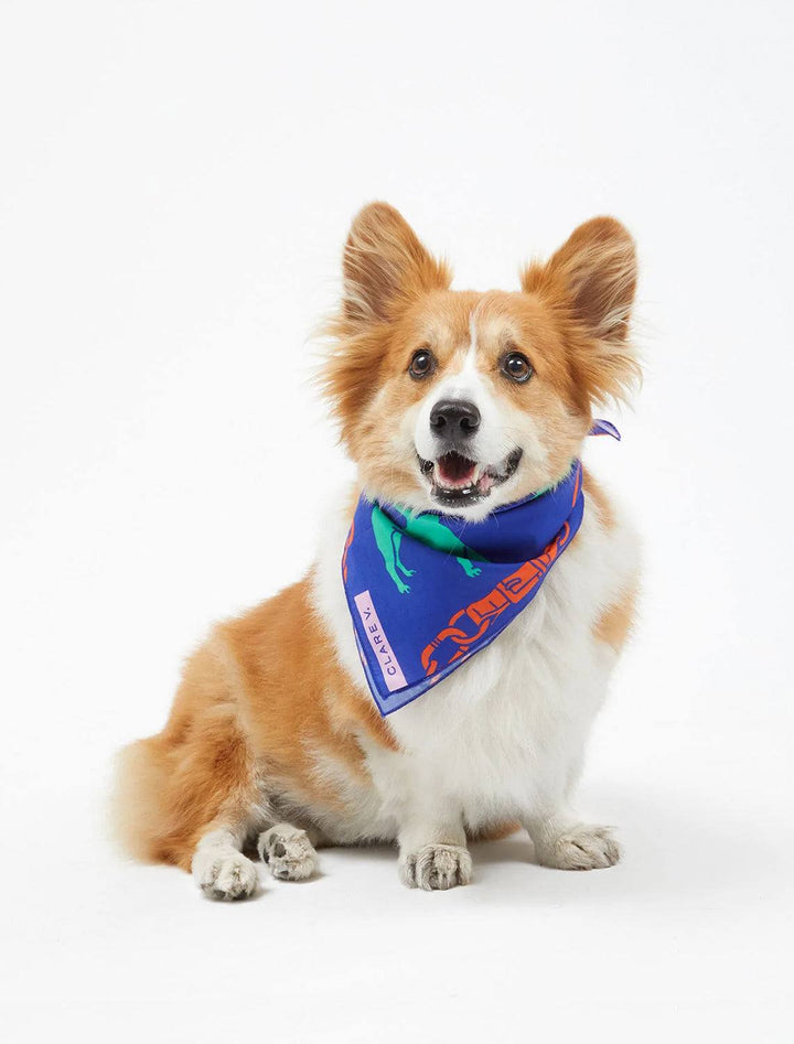 Corgi wearing Clare V.'s bandana avec paco et ses amis.