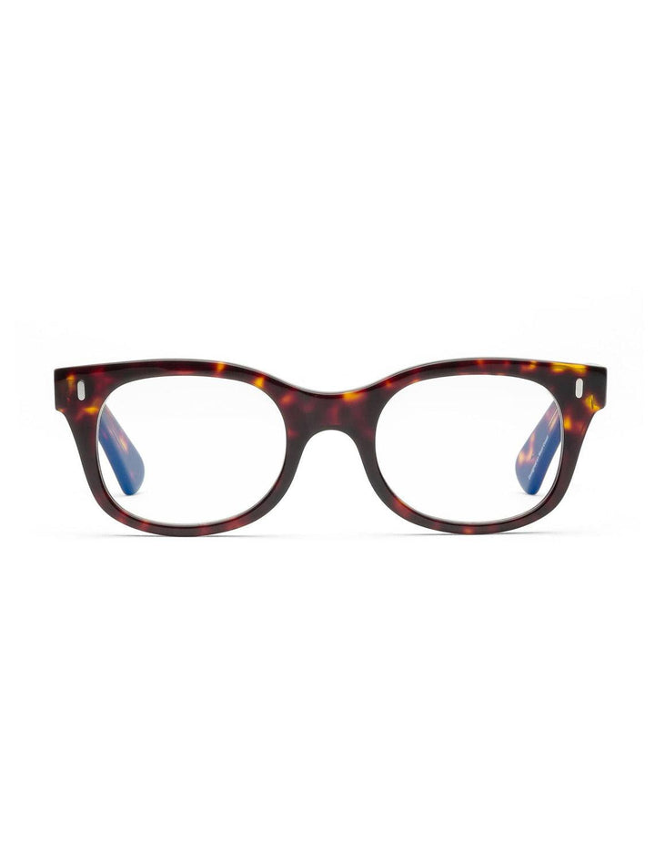 bixby in turtle