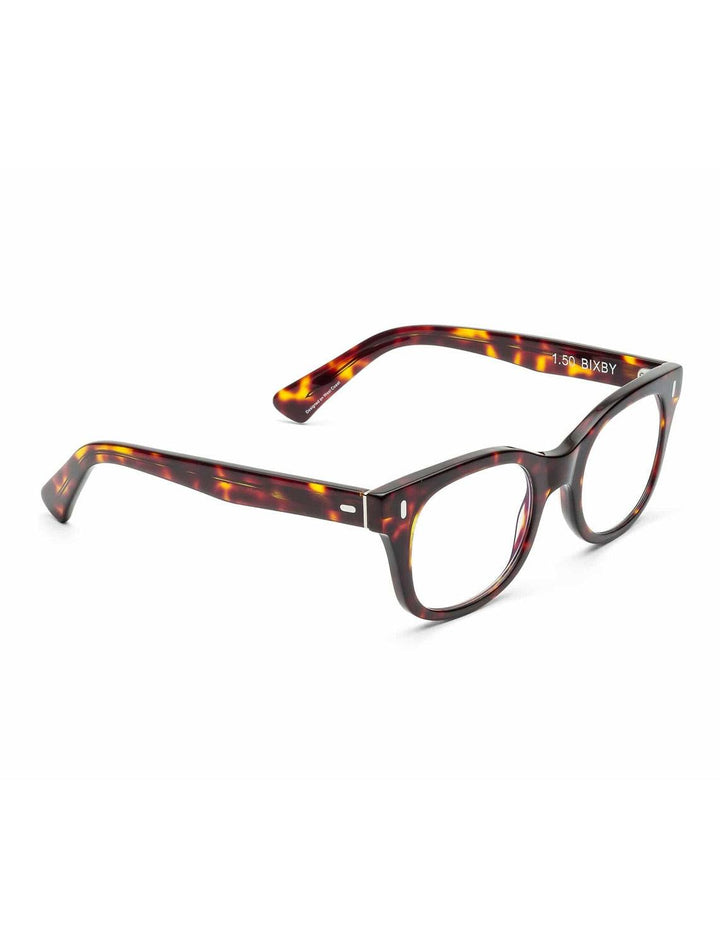 bixby in turtle (3)